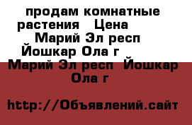 продам комнатные растения › Цена ­ 300 - Марий Эл респ., Йошкар-Ола г.  »    . Марий Эл респ.,Йошкар-Ола г.